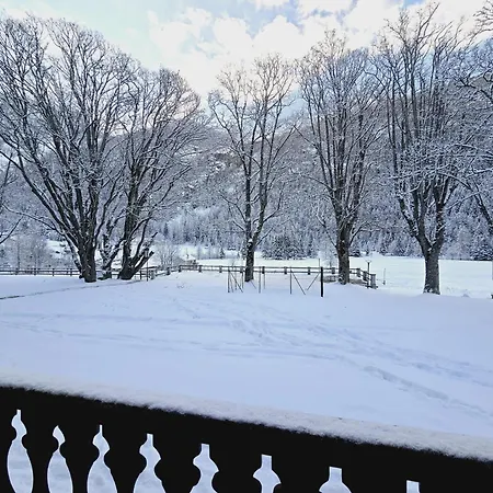 Grand Hotel Ceresole Reala Kingapartment Appartement *